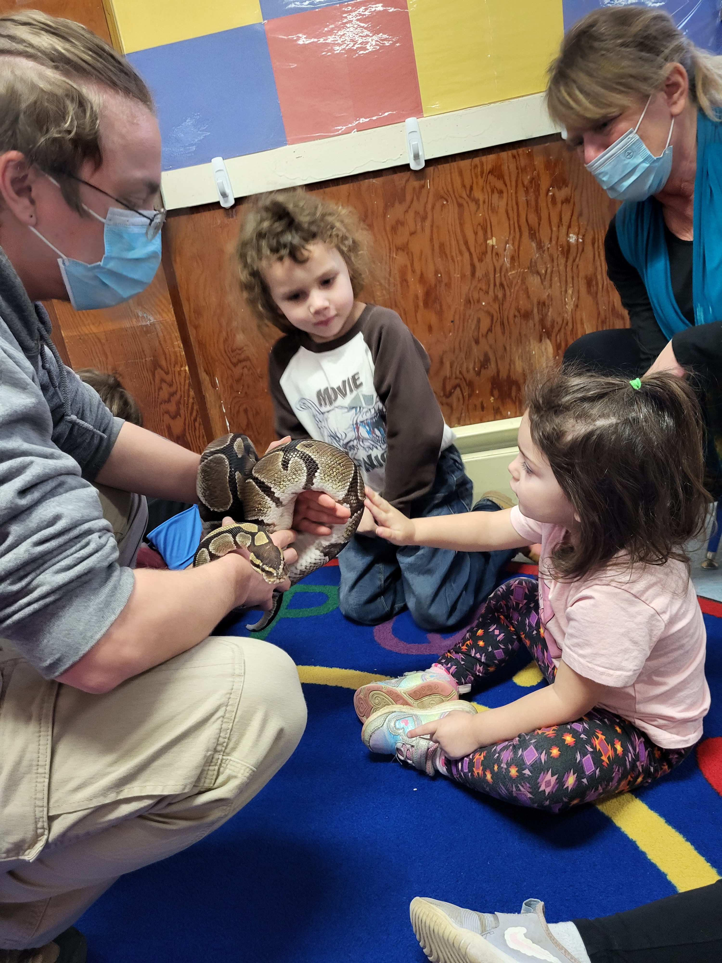 Children interact with a snake held by an adult in a colorful classroom setting. Everyone appears engaged and curious.